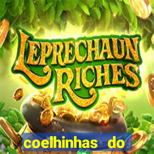 coelhinhas do brasil acompanhantes
